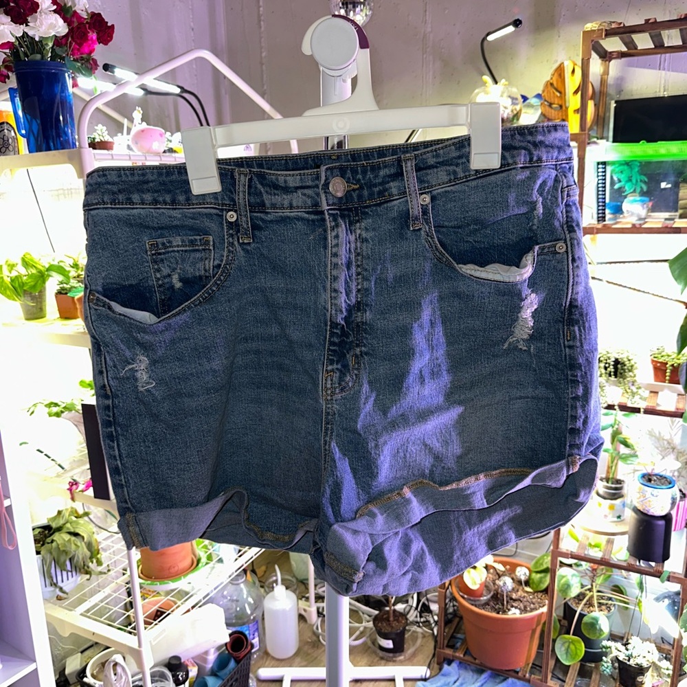 Denim Blue Women's Shorts